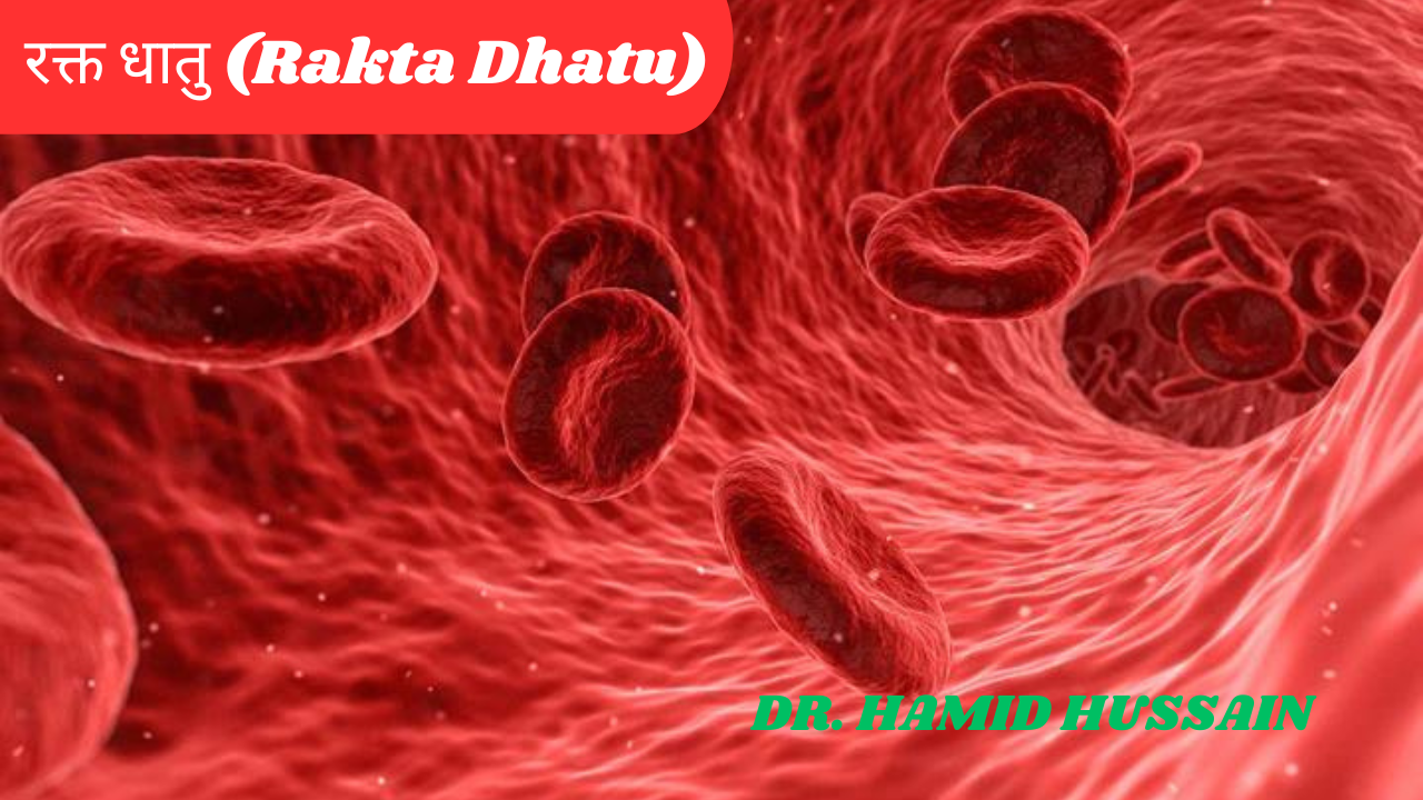रक्त धातु (Rakta Dhatu) - कार्य, रक्त क्षय, रक्त वृद्धि के लक्षण