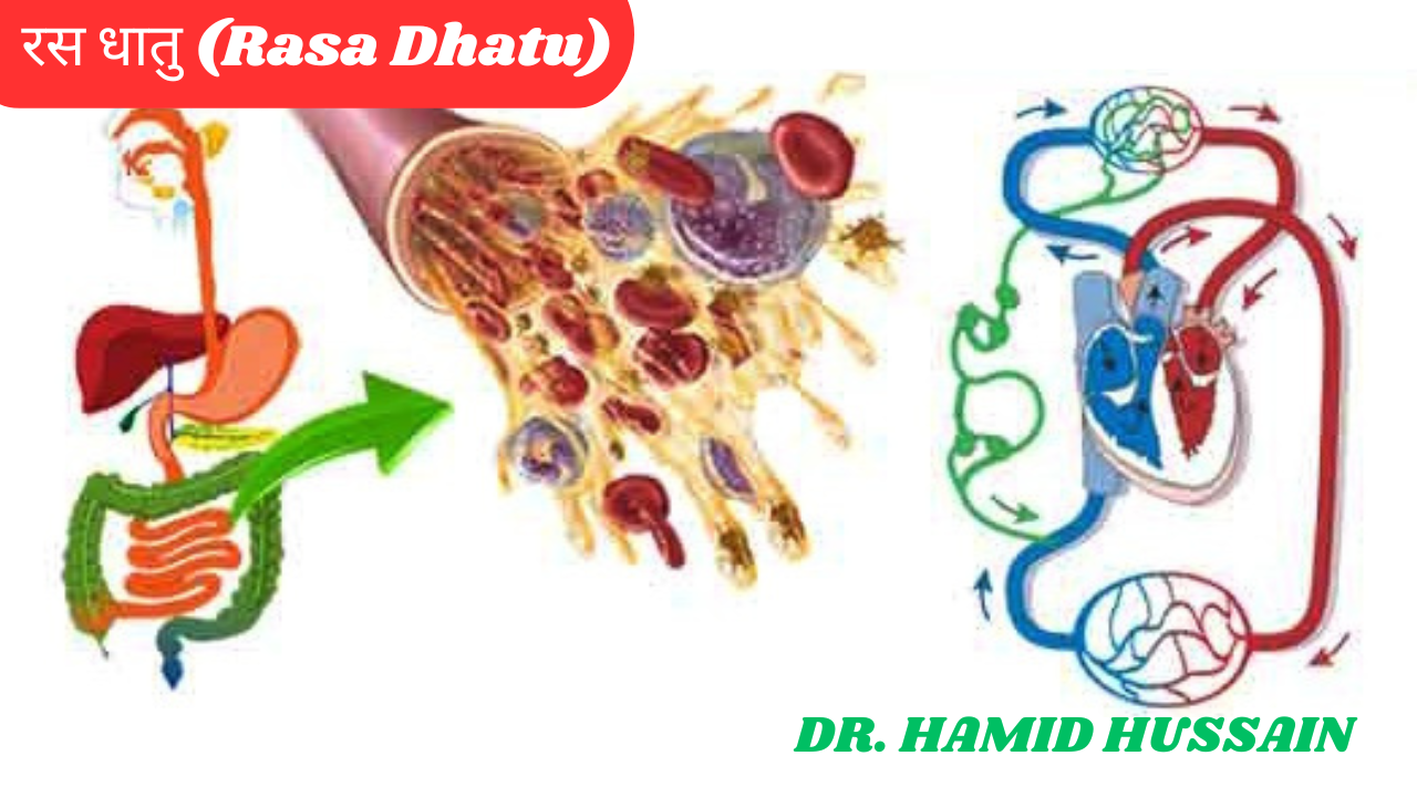 रस धातु (Rasa Dhatu) - कार्य, रस क्षय, रस वृद्धि के लक्षण